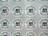 岸和田4Hシール