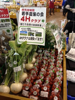 岸和田4H販促