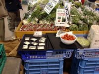 岸和田4H販促